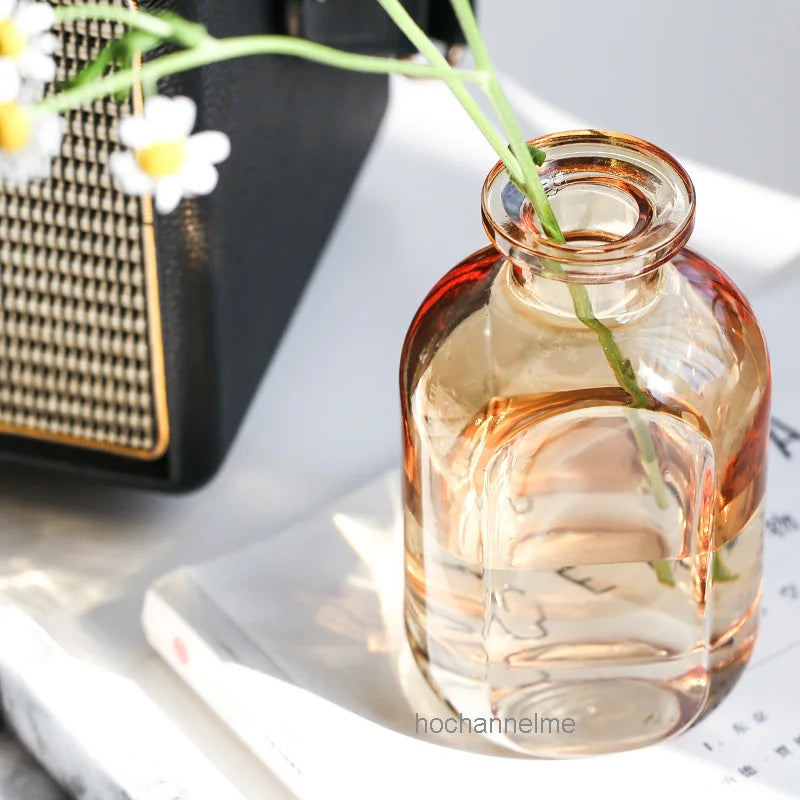 Transparent Flower Vases For Homes Dry Flower Gradient Glass Vase Desktop Living Room Decoration Accessories Home Nordic