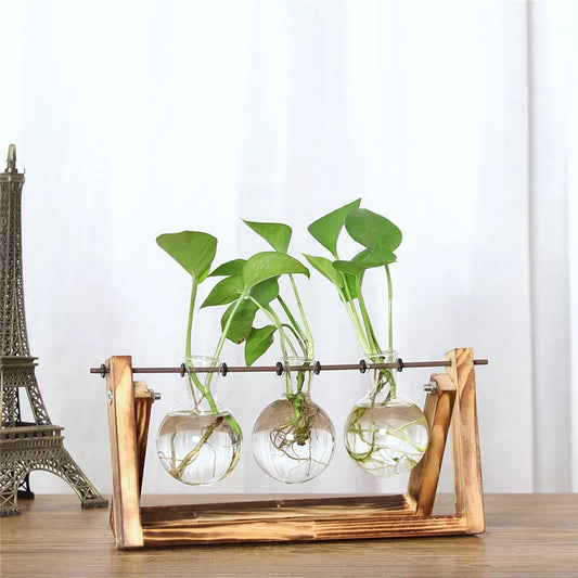 Hydroponic Vintage Flower Vases Plant Vase Creative Wooden Frame Decorative Home Bonsai Decor Transparent Glass Tabletop Plants