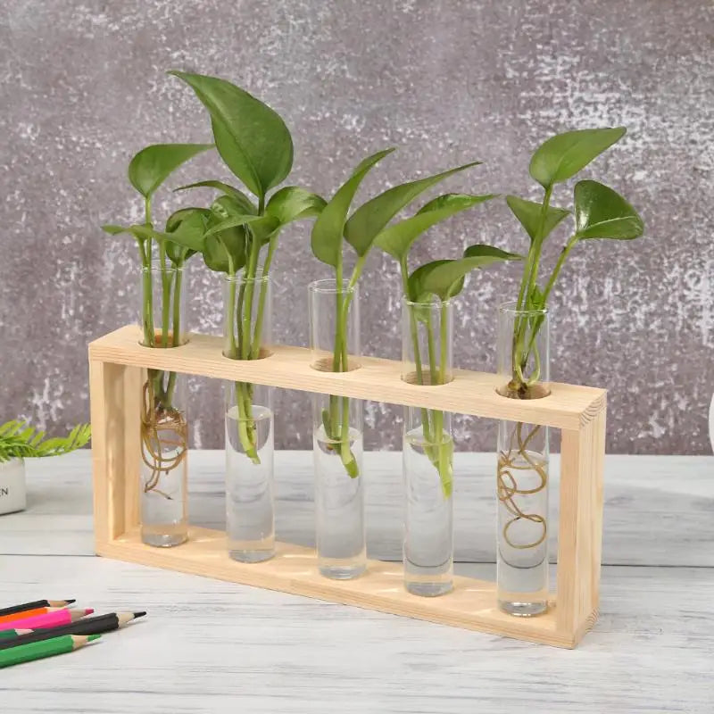 Transparent Glass Vase Wood Frame Iron Art Terrarium Bonsai Table Ornaments Terrarium Hydroponic Plant Vases Vintage Flower Pot