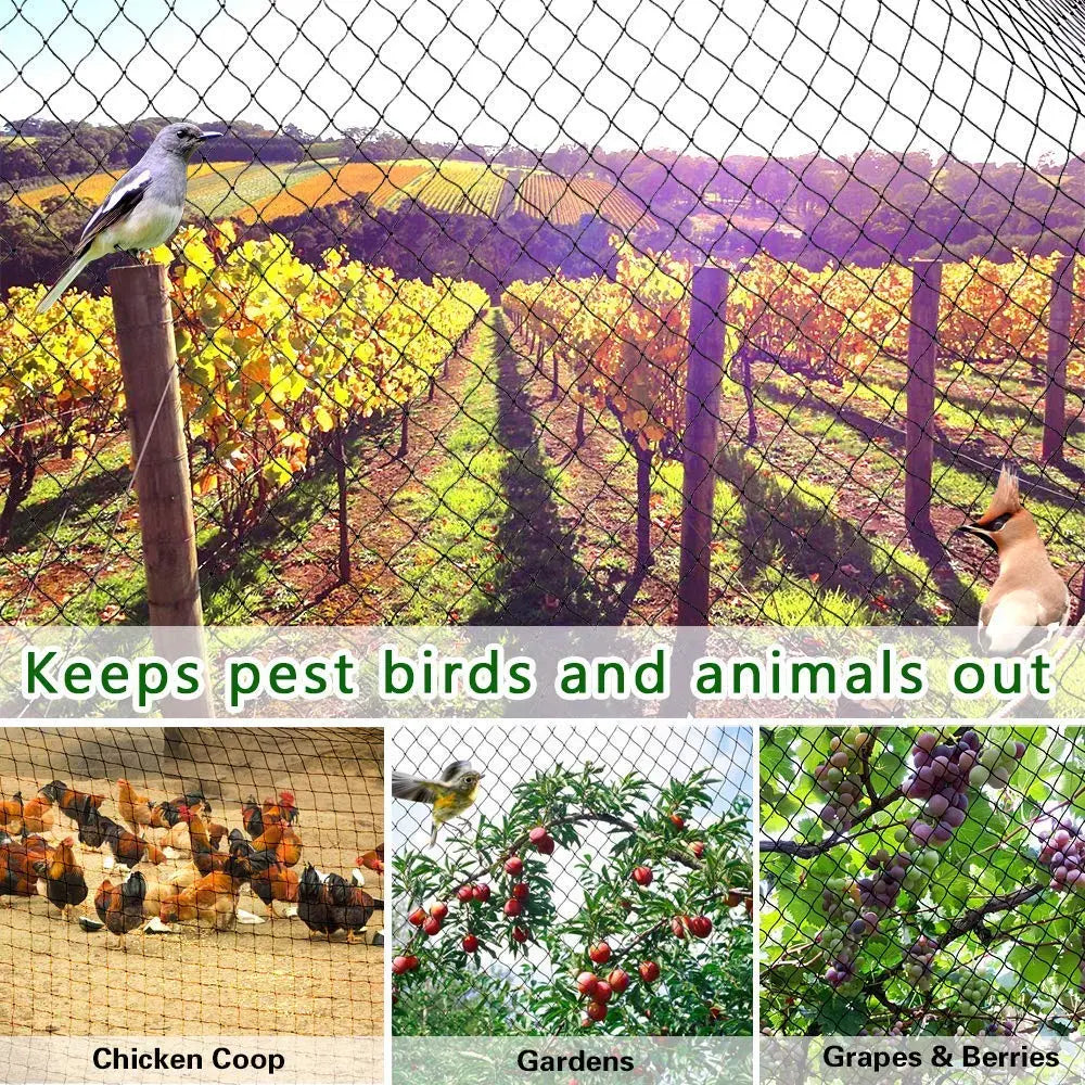 6-24 Strands Heavy Anti Bird Netting Courtyard Fence Garden Fence And Yard Protection Net Chicken Net Fishing Net