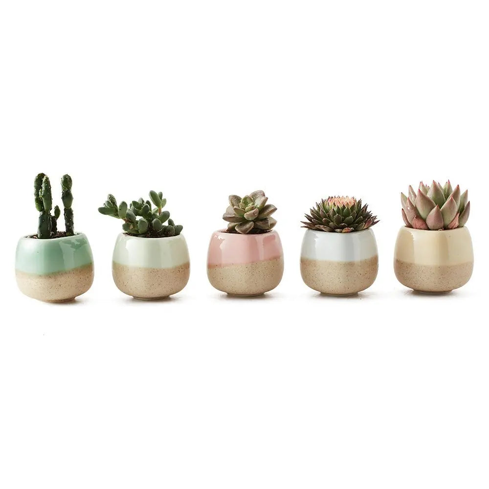 5 in Set 2.2 Inch Container Ceramic Vases Flowing Glaze Five Color Base Serial Set Succulent Plant Pot Cactus Flower Pot Gift