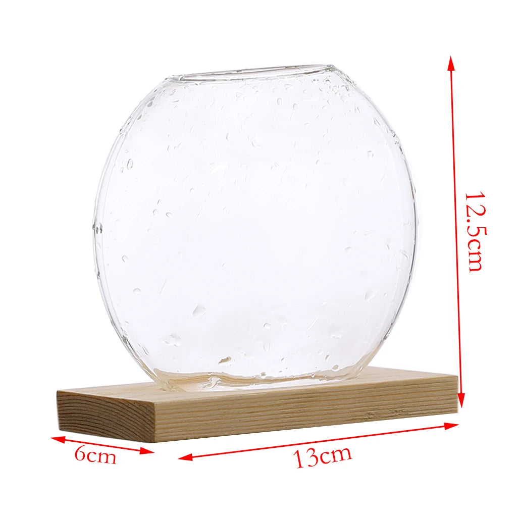 Cute Clear Hydroponic Plants Vase Home Office Desktop Decor Planter Gifts