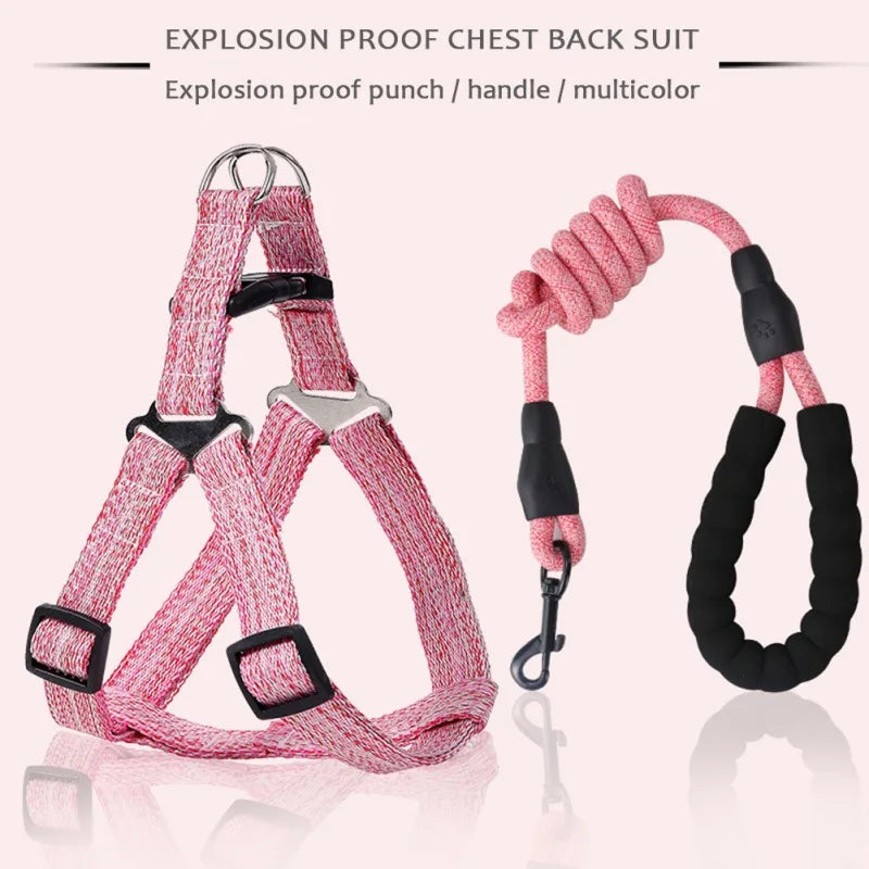 New Nylon Pet Dog Harness No Pull Adjustable Dog Vest Leash Classic Running Leash Strap Belt for Small Medium Large Dogs