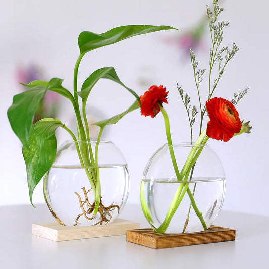 Cute Clear Hydroponic Plants Vase Home Office Desktop Decor Planter Gifts