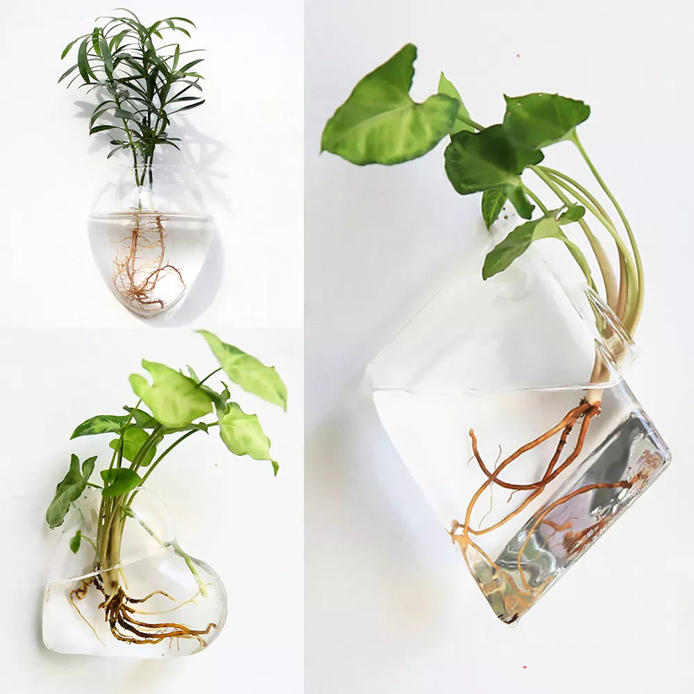 Wall Hanging Glass Vase Terrarium Hydroponic Plant Vases Wall Fish Tank Aquarium Container Flower Planter Pots Home Garden Decor