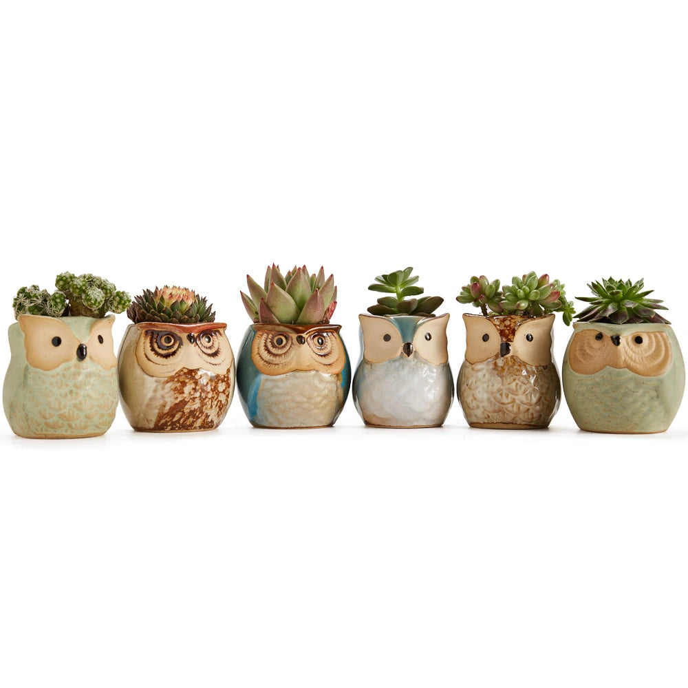 6 In Set 2.5Inch Owl Pot Ceramic Flowing Glaze Base Set Succulent Cactus Plant Pot Flower Pots Container Planter Vases Gift Idea