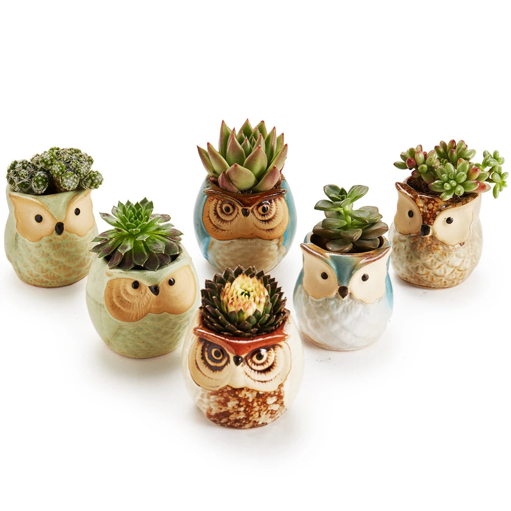 6 In Set 2.5Inch Owl Pot Ceramic Flowing Glaze Base Set Succulent Cactus Plant Pot Flower Pots Container Planter Vases Gift Idea