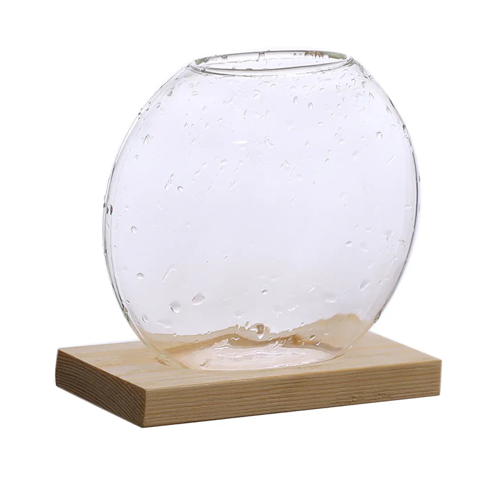 Cute Clear Hydroponic Plants Vase Home Office Desktop Decor Planter Gifts