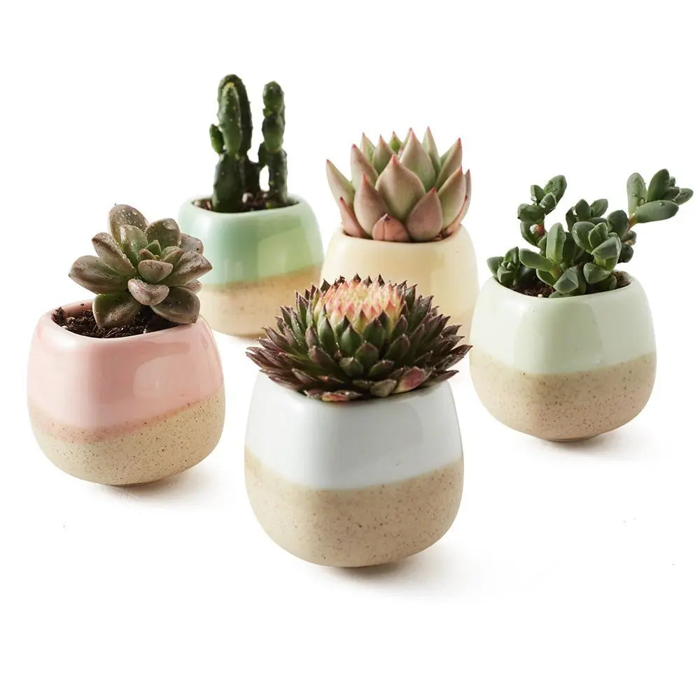 5 in Set 2.2 Inch Container Ceramic Vases Flowing Glaze Five Color Base Serial Set Succulent Plant Pot Cactus Flower Pot Gift