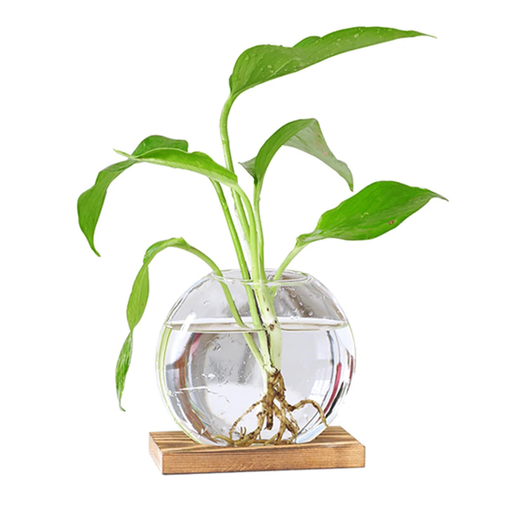 Cute Clear Hydroponic Plants Vase Home Office Desktop Decor Planter Gifts