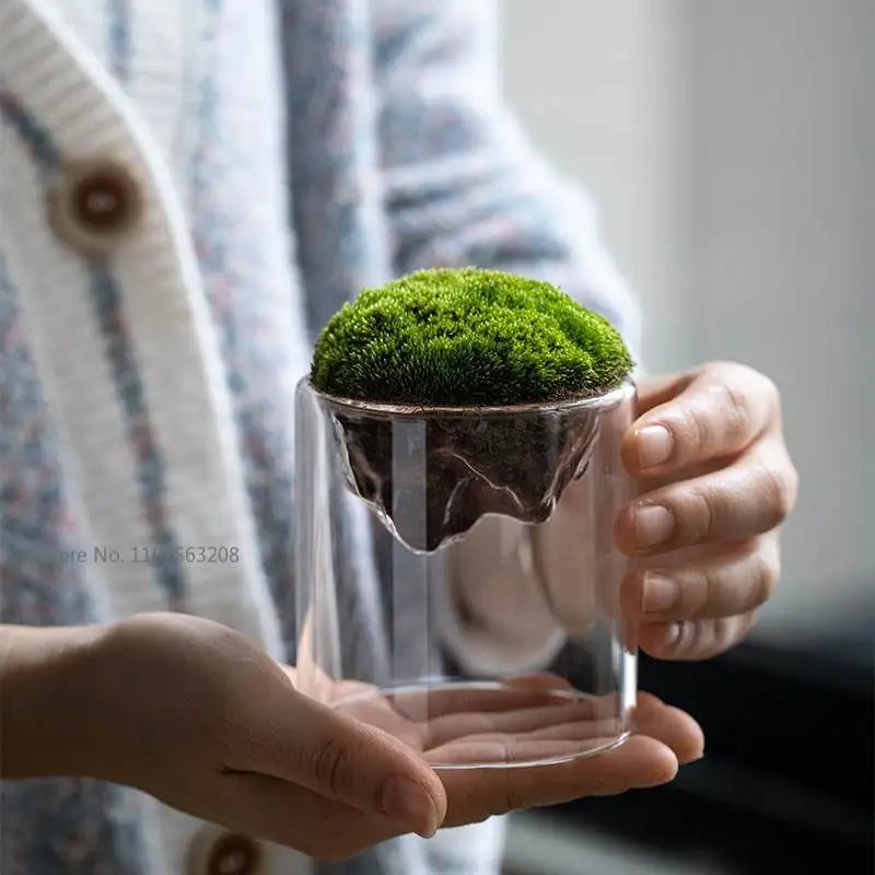 Creative Mountain Shaped Moss Glass Bottle Moss Vase Hydroponic Fleshy Micro Landscape Glass Terrarium Bonsai Home Decor