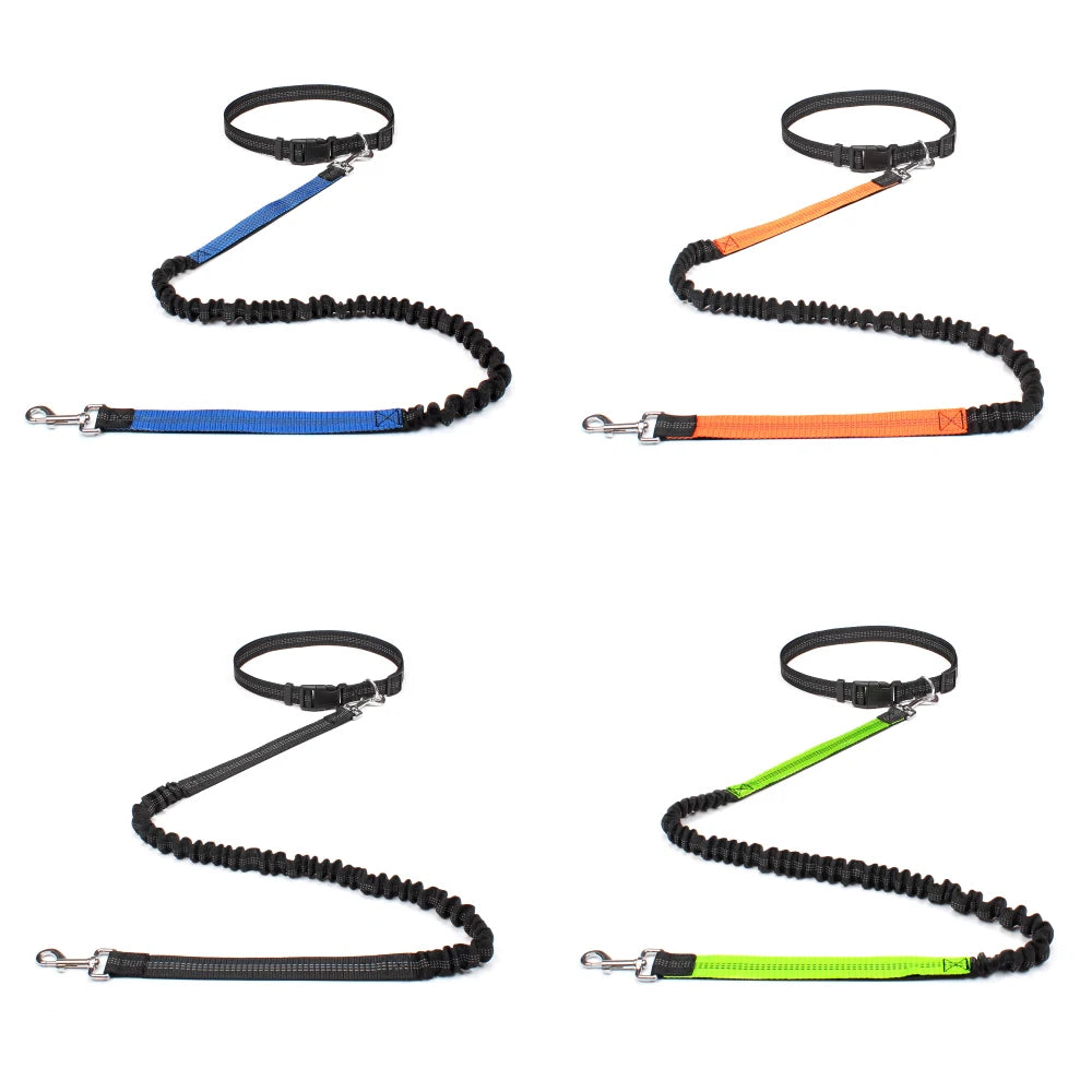 2023 New Reflective Leash Traction Rope Pet Dog Running Belt Elastic Hands Freely Jogging Pull Dog Leash Metal D-ring Leashes