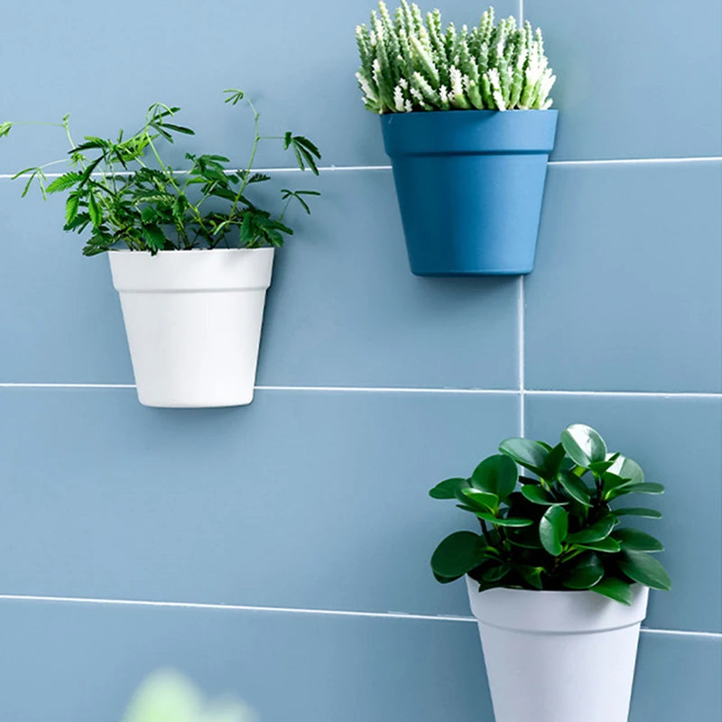 Wall Mounted Plastic Potted Plant Flowerpot Creative Wall Hanging Planter Semi Circular Small Flower Pot Wall Decoration