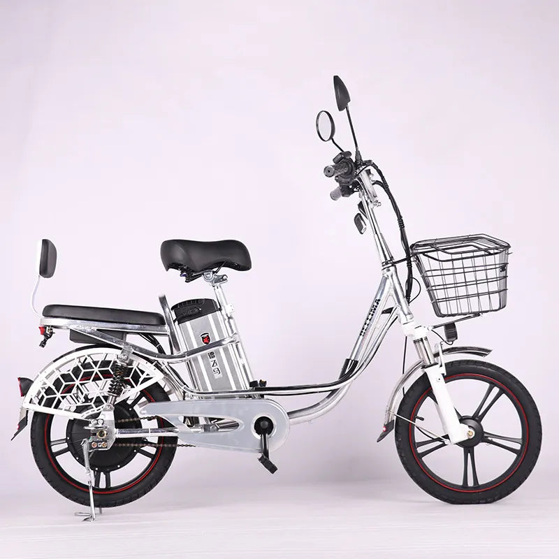 FEIVOS N2 Princess Electric bicycle 18"Aluminum electric bike with rear-view mirror E bike for adults With snow tires