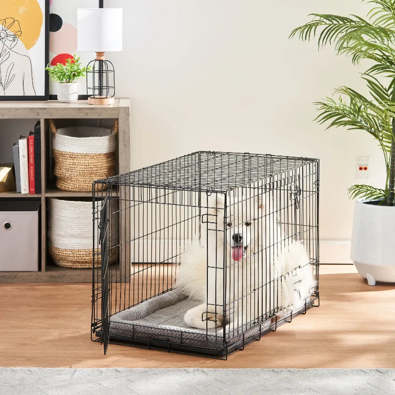 Vibrant Life Single-Door Folding Metal Wire Dog Crate with Divider