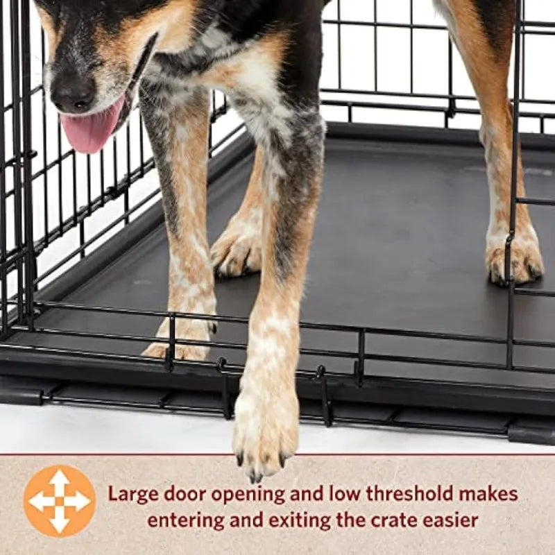 Pets XL Dog Crate | MidWest Life Stages Double Door Folding Metal Dog Crate , Floor Protecting Feet,48-Inch w/ Divider