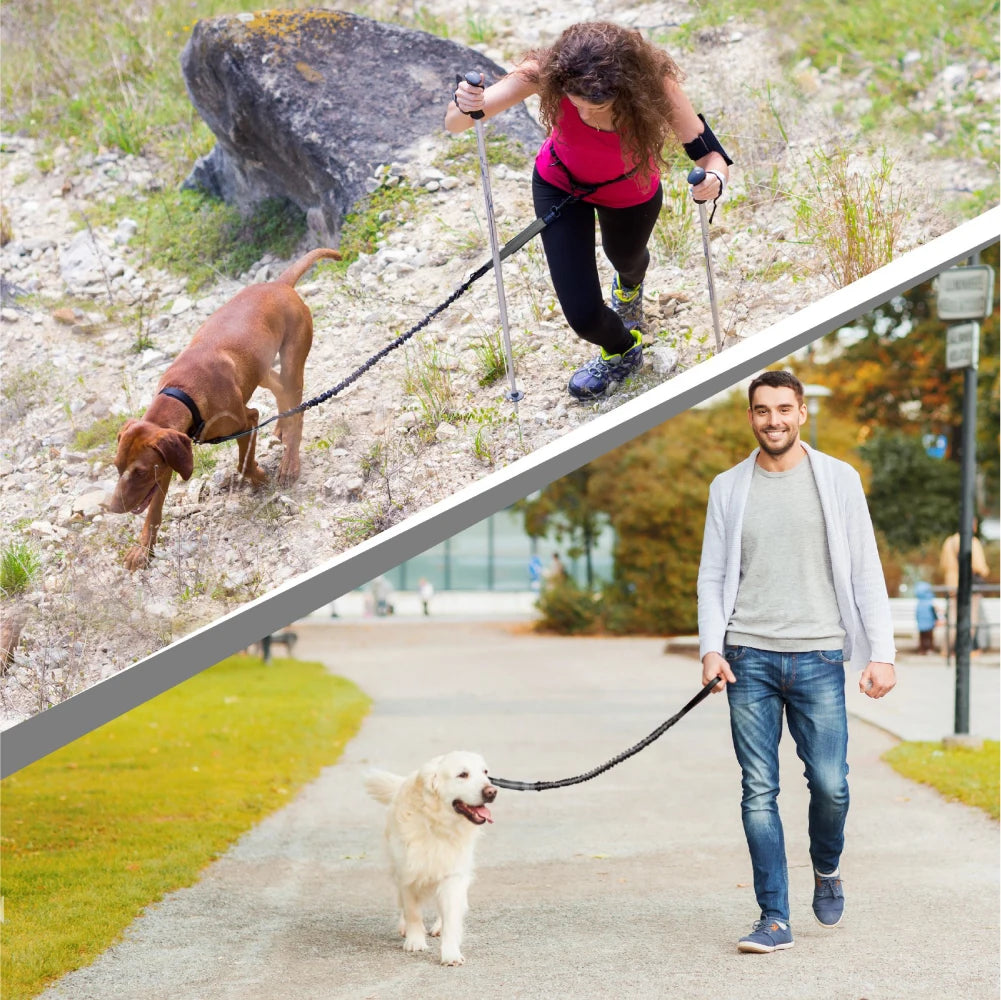 Hand Free Dog Leash for Pet Walking Running Jogging Adjustable  Dog leash Waist Belt Chest Strap Traction Rope Dog Accessories