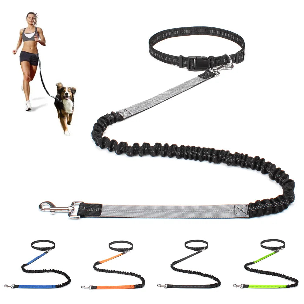 2023 New Reflective Leash Traction Rope Pet Dog Running Belt Elastic Hands Freely Jogging Pull Dog Leash Metal D-ring Leashes