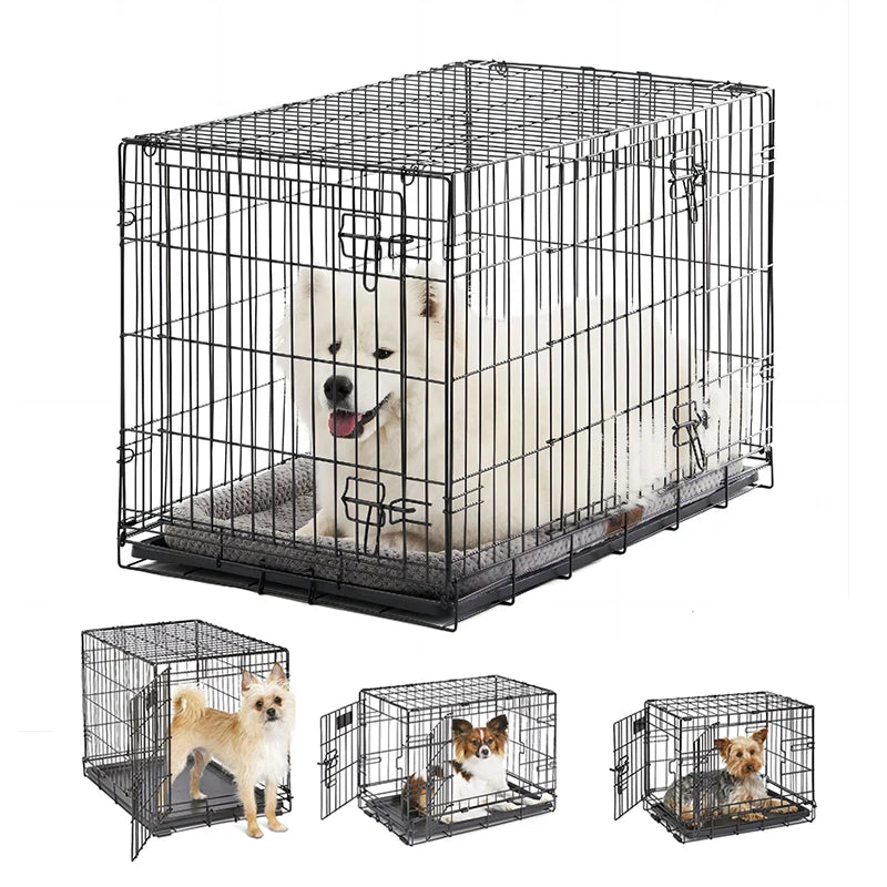 Vibrant Life Single-Door Folding Metal Wire Dog Crate with Divider