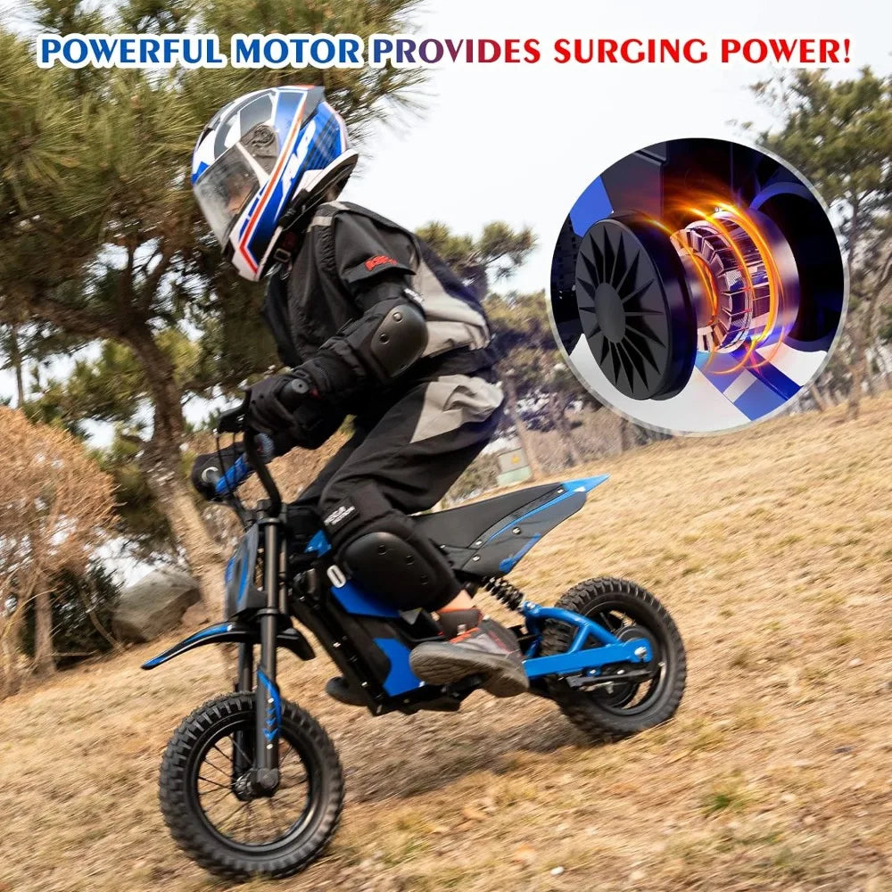 Electric Dirt Bike,300W Electric Motorcycle,15.5MPH & 9.3 Miles Long-Range,3-Speed Modes Motorcycle