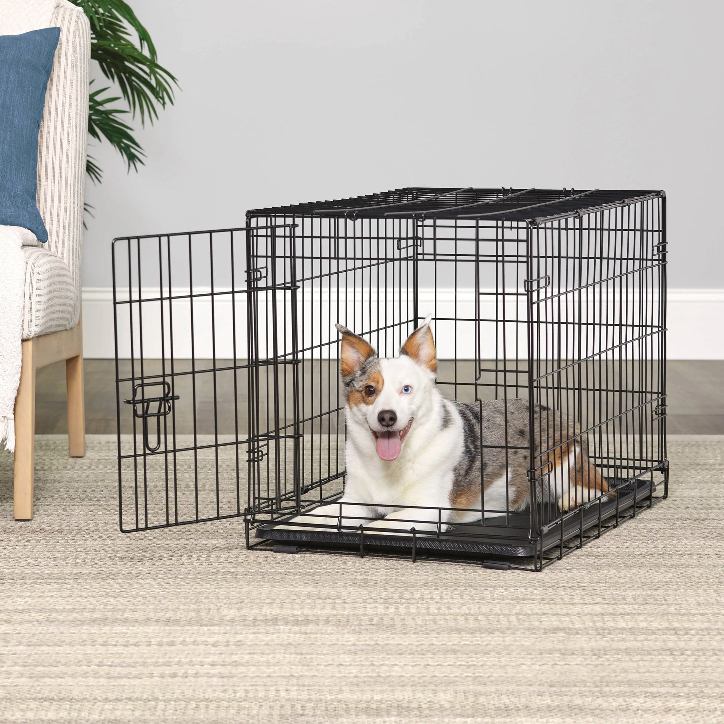 Single Door Folding Metal Wire Dog Crate with Divider and Tray, Black, 30"