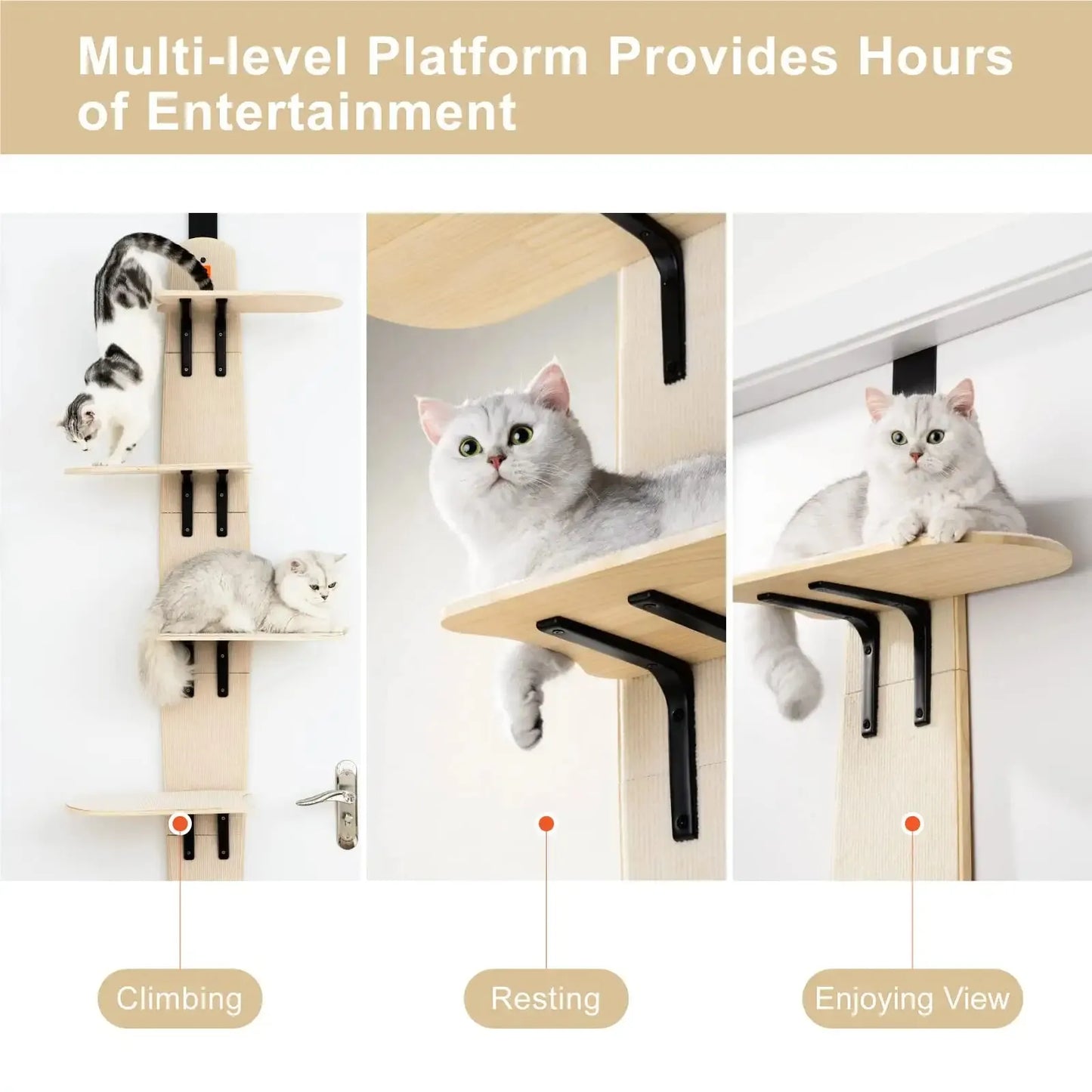 Mewoofun Door Hanging Bed for Cat Pine Wood Eco-friendly Good Stablity Scratch Board Easy Assembly Pet Climbing Frame