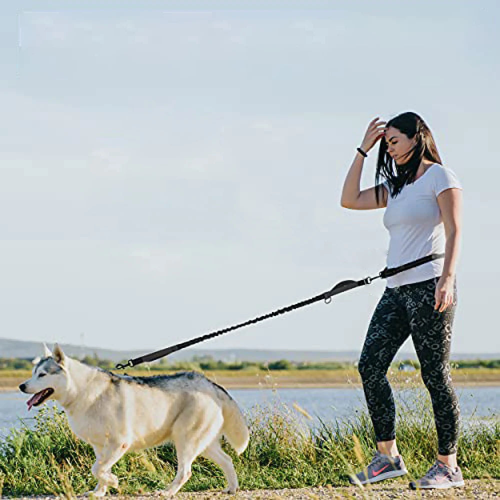 2023 New Reflective Leash Traction Rope Pet Dog Running Belt Elastic Hands Freely Jogging Pull Dog Leash Metal D-ring Leashes