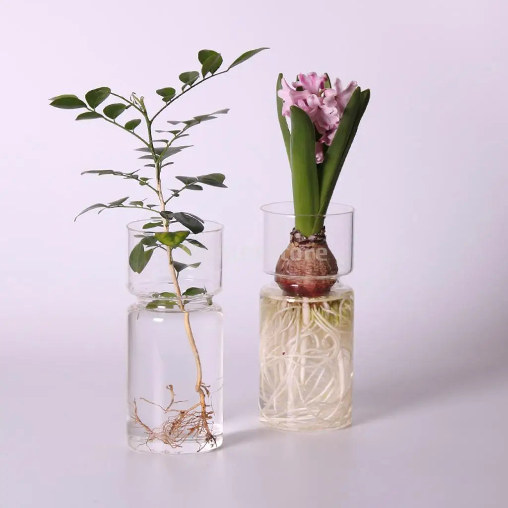 Clear Glass Flower Vase Hydroponic Plant Holder Container Bud Vase for Small Flowers