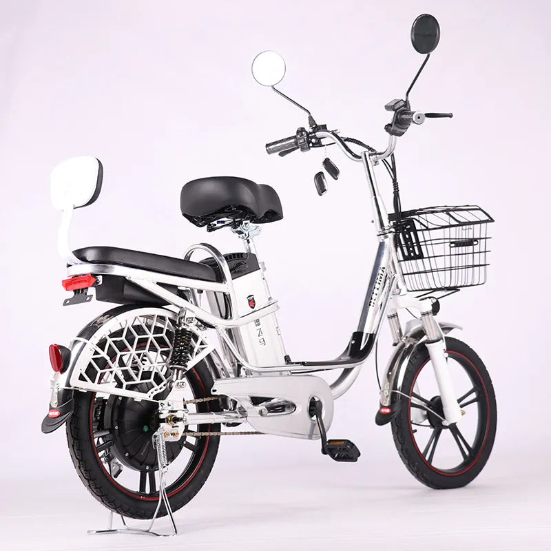 FEIVOS N2 Princess Electric bicycle 18"Aluminum electric bike with rear-view mirror E bike for adults With snow tires