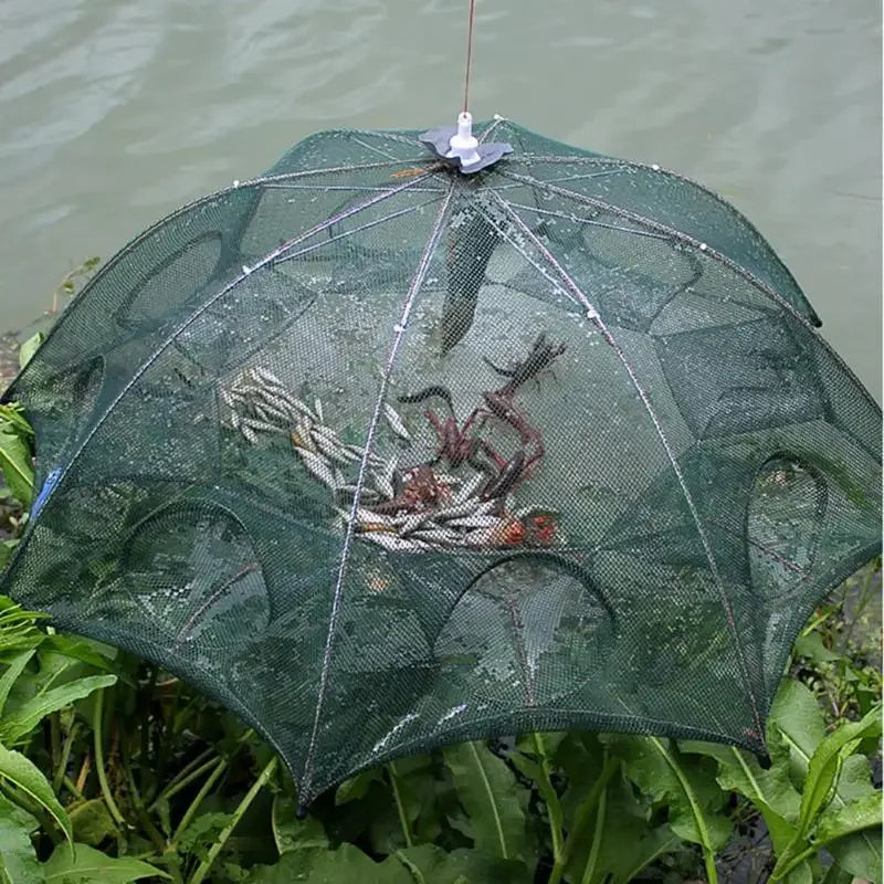 Strengthened 4-8 Holes Automatic Fishing Net Shrimp Cage Nylon Foldable Fish Trap Cast Net Cast Fold Crab trap Fishing Network