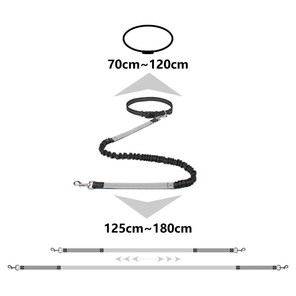 2023 New Reflective Leash Traction Rope Pet Dog Running Belt Elastic Hands Freely Jogging Pull Dog Leash Metal D-ring Leashes