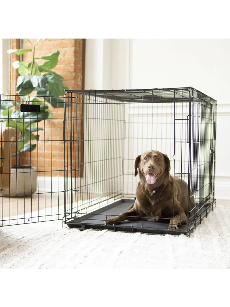 Vibrant Life Double-Door Foldable Metal Wire Dog Crate with Divider and Tray, X-Large, 42"